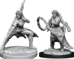 Human Monk Female