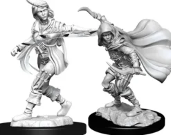Human Rogue Female