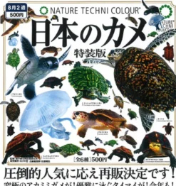 Japanese Turtle Special Edition Capsule