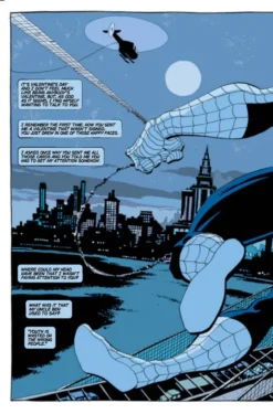 Jeph Loeb & Tim Sale: Spider-man