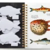 Judgy Fish Sticker Book