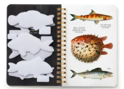 Judgy Fish Sticker Book