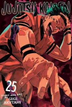 Jujutsu Kaisen Vol 25