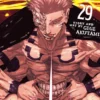 Jujutsu Kaisen Vol 29
