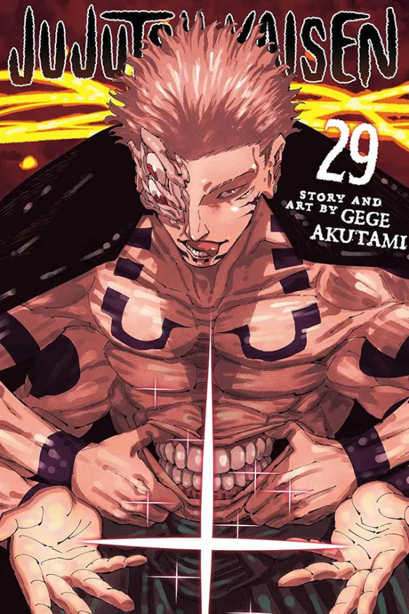 Jujutsu Kaisen Vol 29
