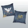 Logo & Hedwig Pillow 40 x 40 cm