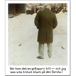 Magnet Jan Stenmark Gråsparv