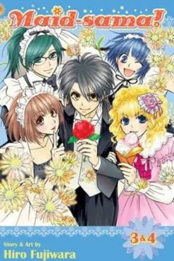 Maid Sama 2-in-1 Vol 2