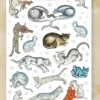 Medieval Cats Sticker Set