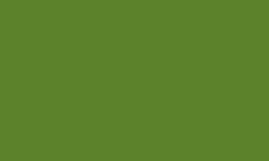 Medium Olive