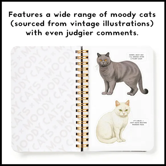 Moody Cats Sticker Book