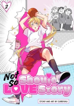 Not So Shoujo Love Story Vol 2