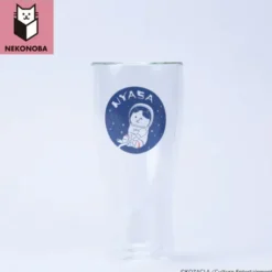 NYASA Double Walled Beer Glass