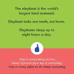 Odd Fact Out