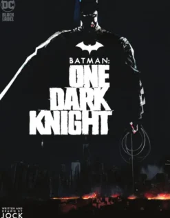 One Dark Knight