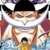 One Piece Vol 57