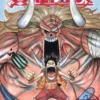 One Piece Vol 48
