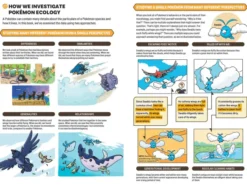 Pokécology: An Illustrated Guide to Pokémon Ecology