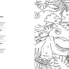 Pokémon Colour and Design: the official Pokémon colouring book