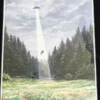 Print A4 - Älgien