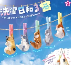 Sentaku Biyori 3 Capsule