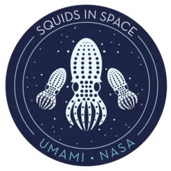 Singel Sticker - Umami (Glow-in-the-Dark)