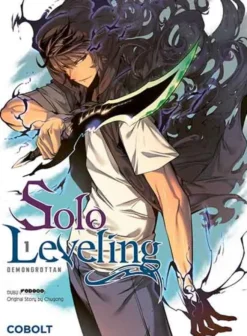 Solo leveling 1 - Demongrottan