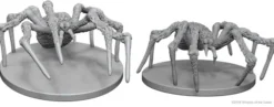 Spiders