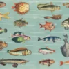 The Curious Collections Sticker Book