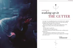 The VtM 5e: Crimson Gutter Chronicle Book