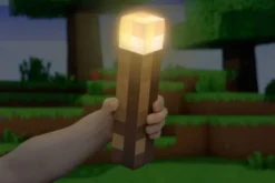 Torch Light