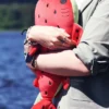 Walter The Watermelon Whale Shark Plush 50 cm