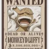 Wanted Luffy Standard Magnet