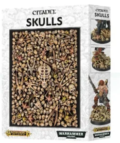 Warhammer Colour Skulls
