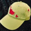 Watermelon Shark Cap