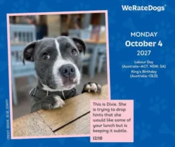 WeRateDogs 2027 Day-to-Day Calendar