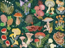 World of Mushrooms Puzzle 1000 pcs