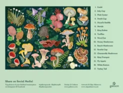 World of Mushrooms Puzzle 1000 pcs