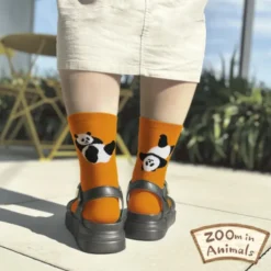 Zoom In Animals Socks - Giant Panda